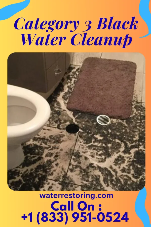 Category 3 Black Water Cleanup in Croton-on-Hudson, NY