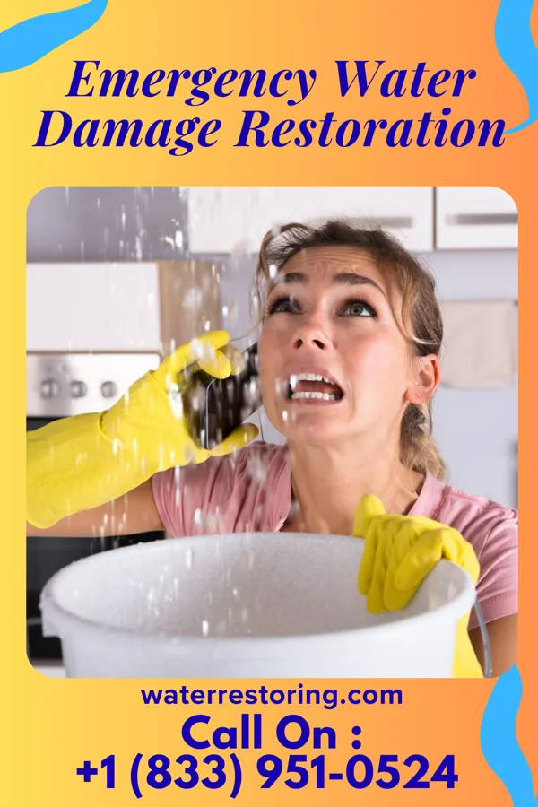 Emergency Water Damage Restoration in Croton-on-Hudson, NY