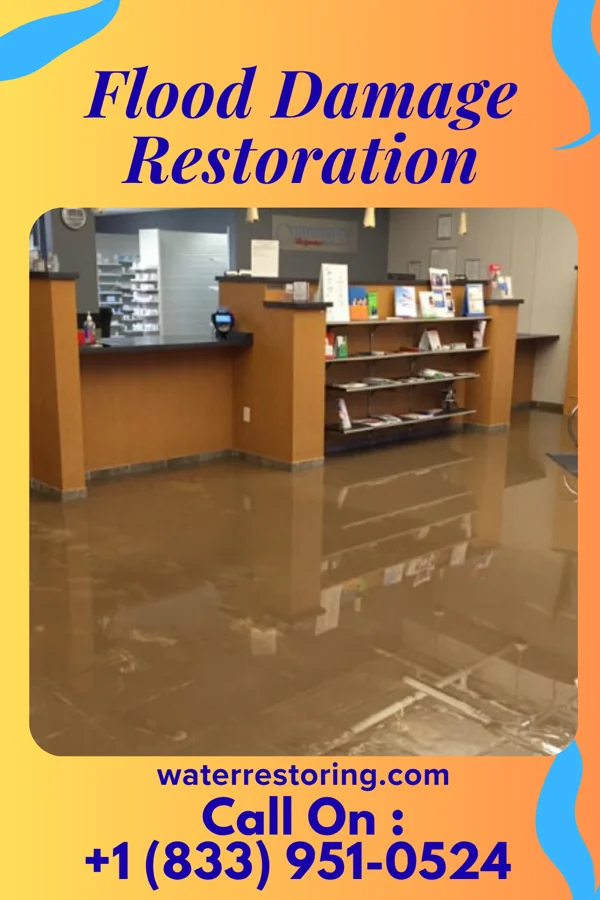 Flood Damage Restoration in Croton-on-Hudson, NY