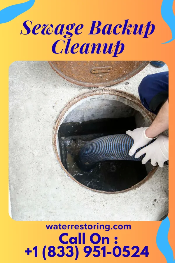 Sewage Backup Cleanup in Croton-on-Hudson, NY